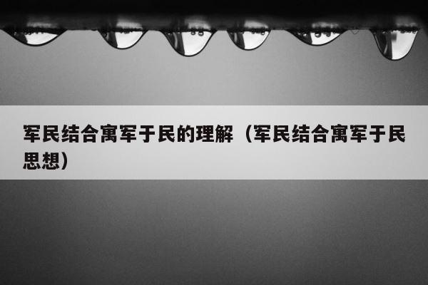 军民结合寓军于民的理解（军民结合寓军于民思想） 第1张