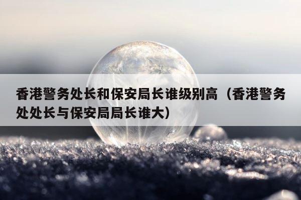 香港警务处长和保安局长谁级别高（香港警务处处长与保安局局长谁大） 第1张