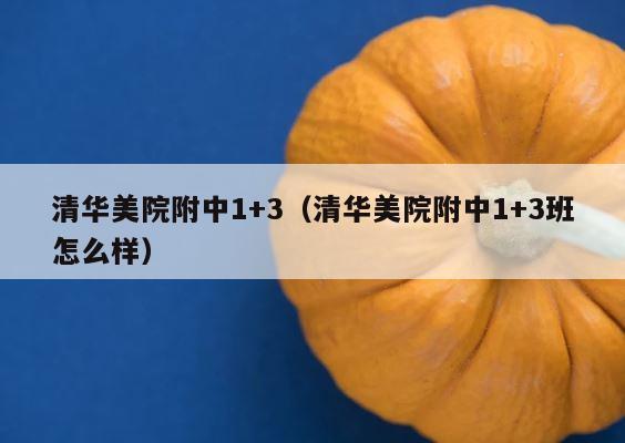 清华美院附中1+3（清华美院附中1+3班怎么样） 第1张