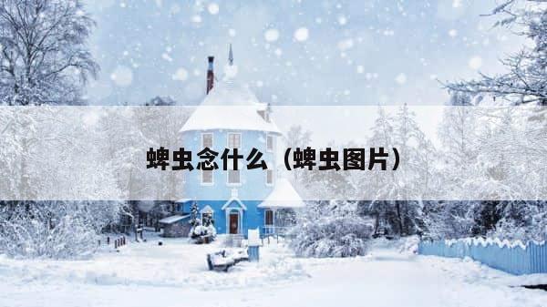 蜱虫念什么（蜱虫图片） 第1张