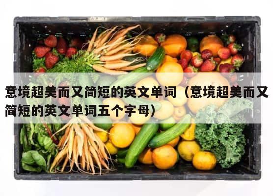 意境超美而又简短的英文单词（意境超美而又简短的英文单词五个字母） 第1张
