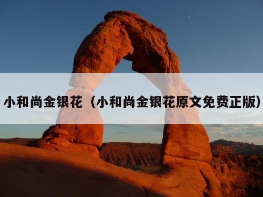 小和尚金银花（小和尚金银花原文免费正版） 第1张