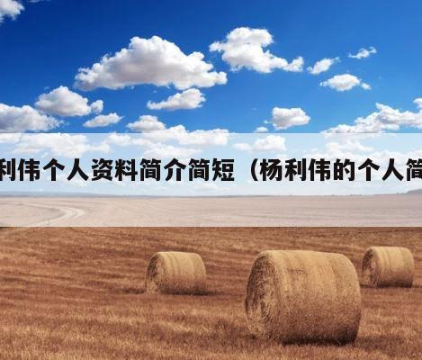 杨利伟个人资料简介简短（杨利伟的个人简介） 第1张