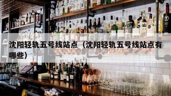 沈阳轻轨五号线站点（沈阳轻轨五号线站点有哪些） 第1张
