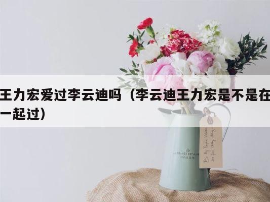 王力宏爱过李云迪吗（李云迪王力宏是不是在一起过） 第1张