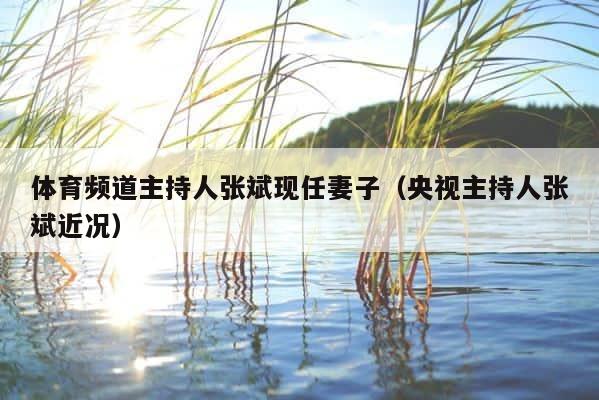 体育频道主持人张斌现任妻子（央视主持人张斌近况） 第1张