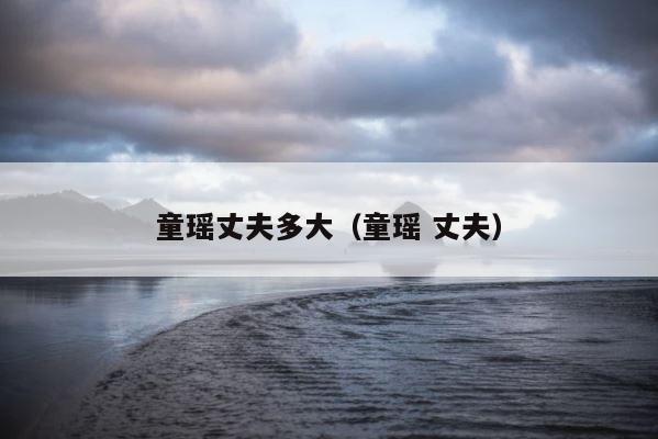 童瑶丈夫多大（童瑶 丈夫） 第1张