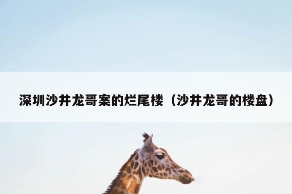 深圳沙井龙哥案的烂尾楼（沙井龙哥的楼盘） 第1张