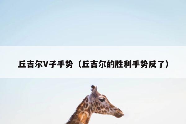 丘吉尔V子手势（丘吉尔的胜利手势反了） 第1张