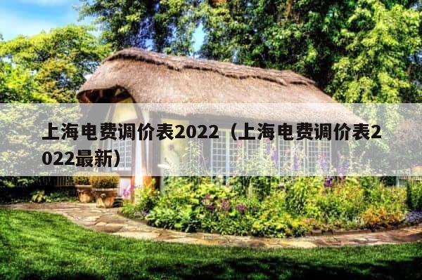 上海电费调价表2022（上海电费调价表2022最新） 第1张