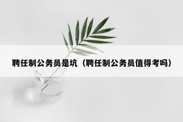 聘任制公务员是坑（聘任制公务员值得考吗） 第1张