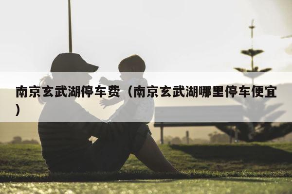 南京玄武湖停车费（南京玄武湖哪里停车便宜） 第1张