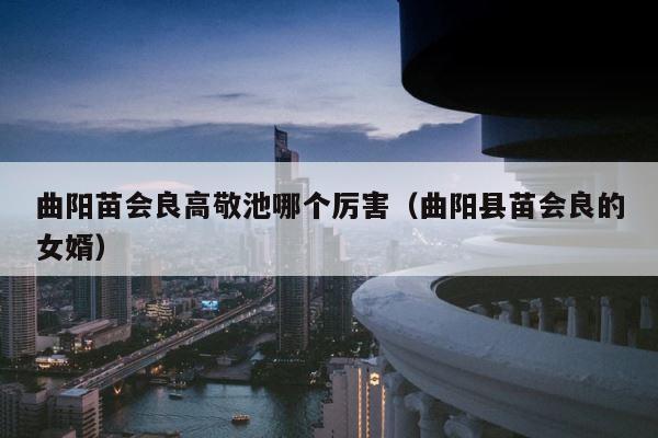曲阳苗会良高敬池哪个厉害（曲阳县苗会良的女婿） 第1张