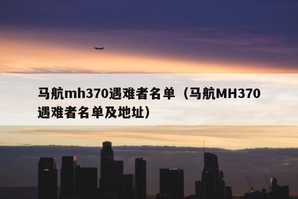 马航mh370遇难者名单（马航MH370遇难者名单及地址） 第1张
