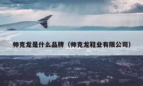 帅克龙是什么品牌（帅克龙鞋业有限公司） 第1张