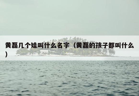 黄磊几个娃叫什么名字（黄磊的孩子都叫什么） 第1张