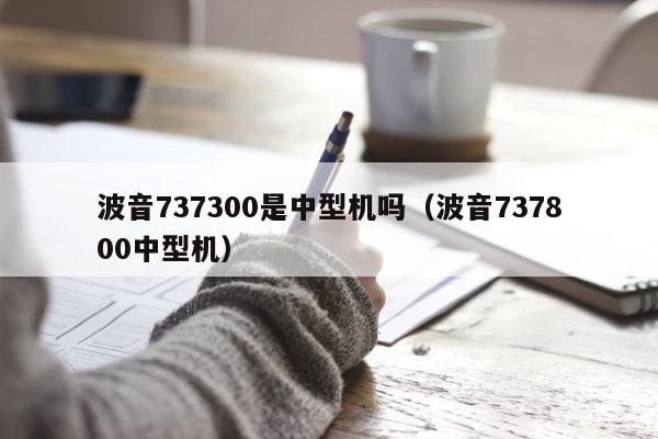 波音737300是中型机吗（波音737800中型机） 第1张