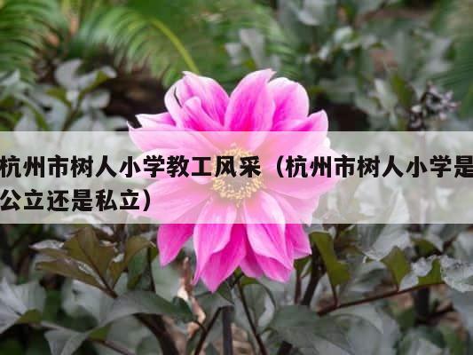 杭州市树人小学教工风采（杭州市树人小学是公立还是私立） 第1张