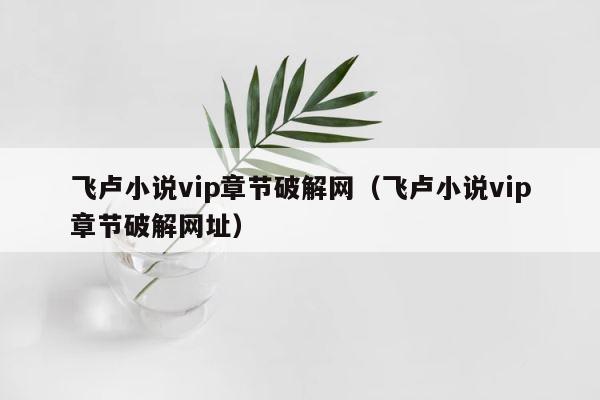 飞卢小说vip章节破解网（飞卢小说vip章节破解网址） 第1张