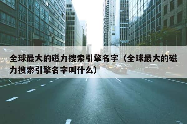 全球最大的磁力搜索引擎名字（全球最大的磁力搜索引擎名字叫什么） 第1张