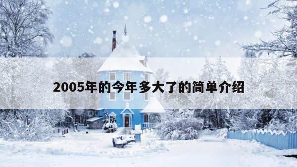2005年的今年多大了的简单介绍 第1张