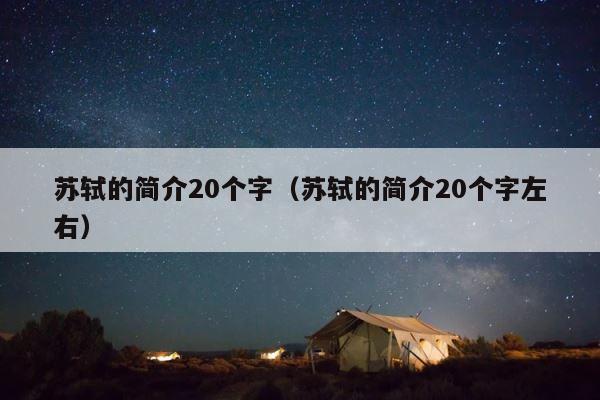 苏轼的简介20个字（苏轼的简介20个字左右） 第1张
