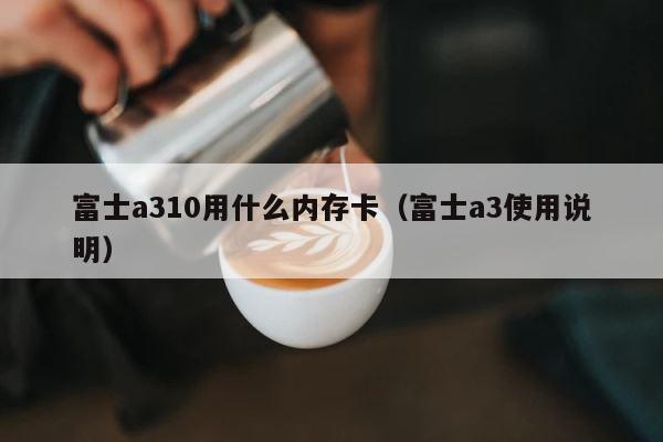 富士a310用什么内存卡（富士a3使用说明） 第1张