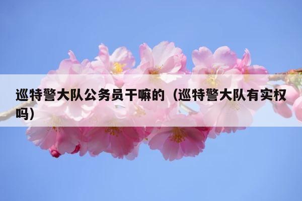 巡特警大队公务员干嘛的（巡特警大队有实权吗） 第1张