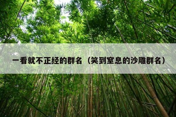 一看就不正经的群名（笑到窒息的沙雕群名） 第1张