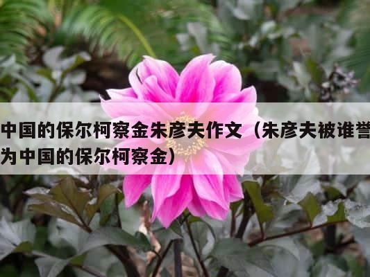 中国的保尔柯察金朱彦夫作文（朱彦夫被谁誉为中国的保尔柯察金） 第1张