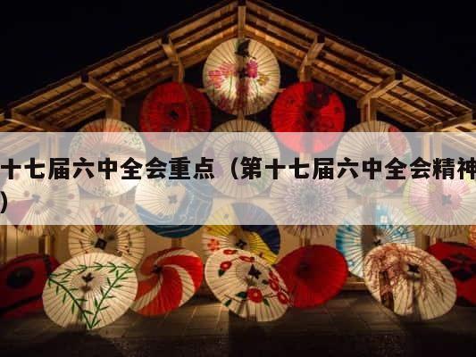 十七届六中全会重点（第十七届六中全会精神） 第1张