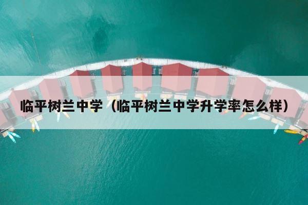 临平树兰中学（临平树兰中学升学率怎么样） 第1张