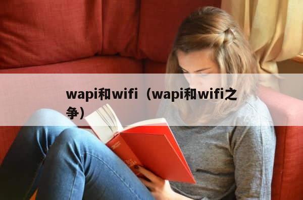 wapi和wifi（wapi和wifi之争） 第1张