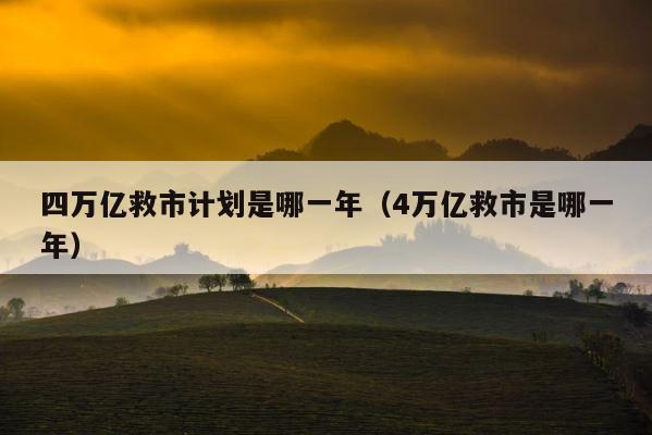 四万亿救市计划是哪一年（4万亿救市是哪一年） 第1张