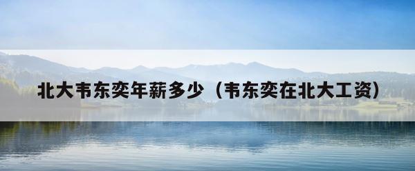 北大韦东奕年薪多少（韦东奕在北大工资） 第1张