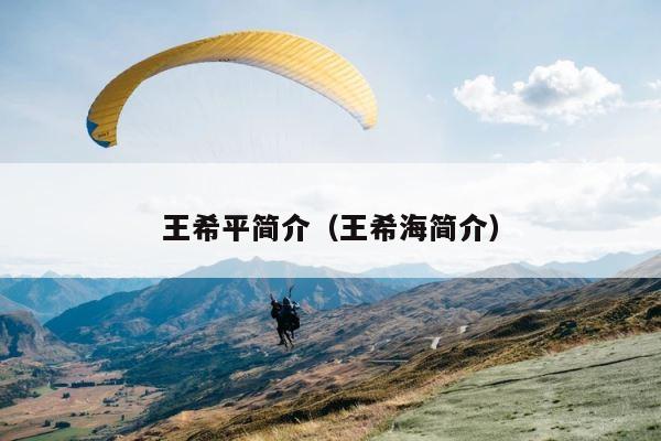 王希平简介（王希海简介） 第1张
