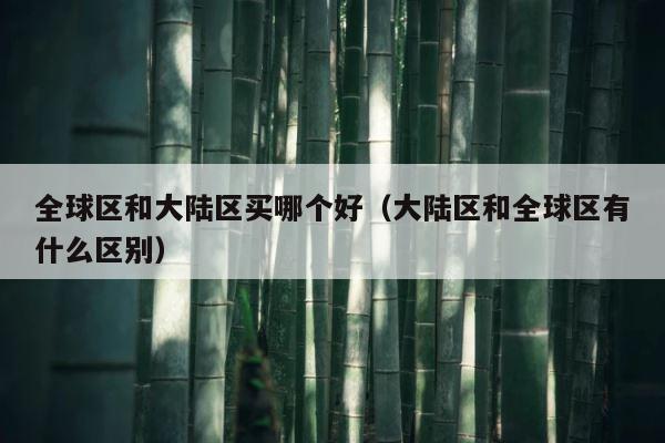 全球区和大陆区买哪个好（大陆区和全球区有什么区别） 第1张