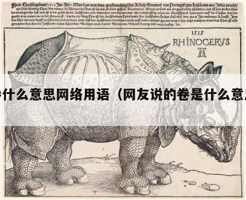 卷什么意思网络用语（网友说的卷是什么意思） 第1张