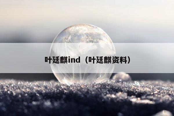 叶廷麒ind（叶廷麒资料） 第1张
