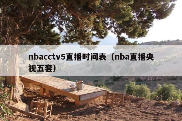 nbacctv5直播时间表（nba直播央视五套） 第1张