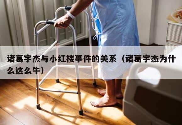诸葛宇杰与小红楼事件的关系（诸葛宇杰为什么这么牛） 第1张