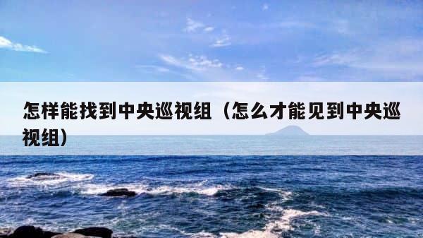 怎样能找到中央巡视组（怎么才能见到中央巡视组） 第1张