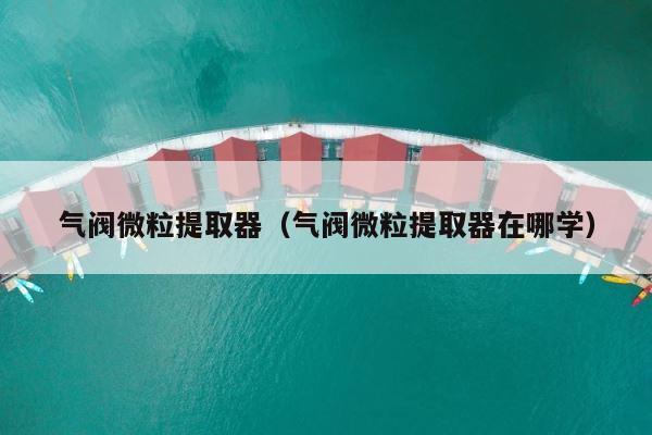 气阀微粒提取器（气阀微粒提取器在哪学） 第1张