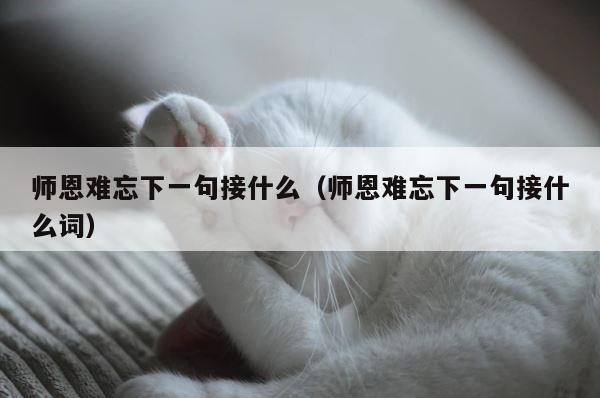 师恩难忘下一句接什么（师恩难忘下一句接什么词） 第1张