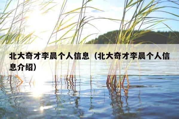 北大奇才李晨个人信息（北大奇才李晨个人信息介绍） 第1张