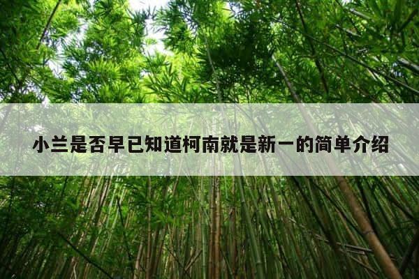 小兰是否早已知道柯南就是新一的简单介绍 第1张