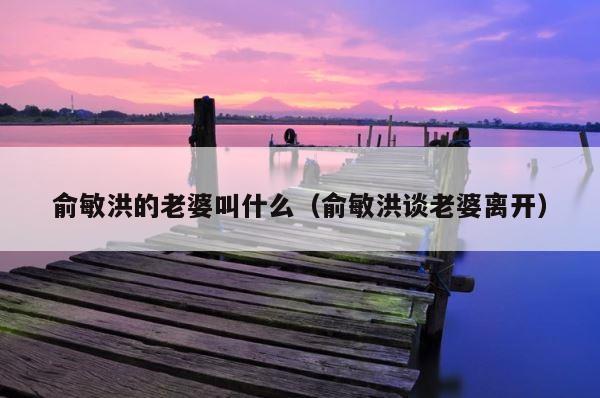 俞敏洪的老婆叫什么（俞敏洪谈老婆离开） 第1张