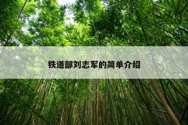 铁道部刘志军的简单介绍 第1张