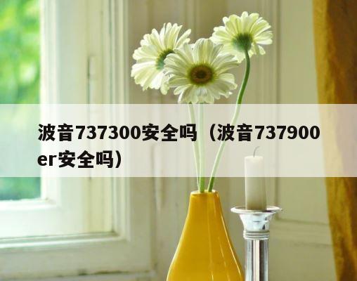 波音737300安全吗（波音737900er安全吗） 第1张
