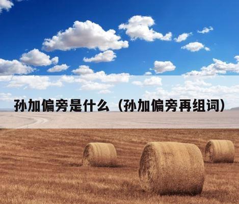 孙加偏旁是什么（孙加偏旁再组词） 第1张